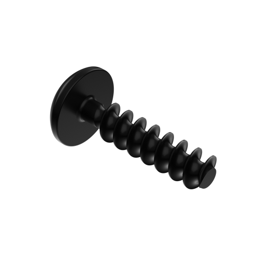 Torx Screw Truss Head K50X20 T20