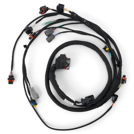Engine Wiring Harness