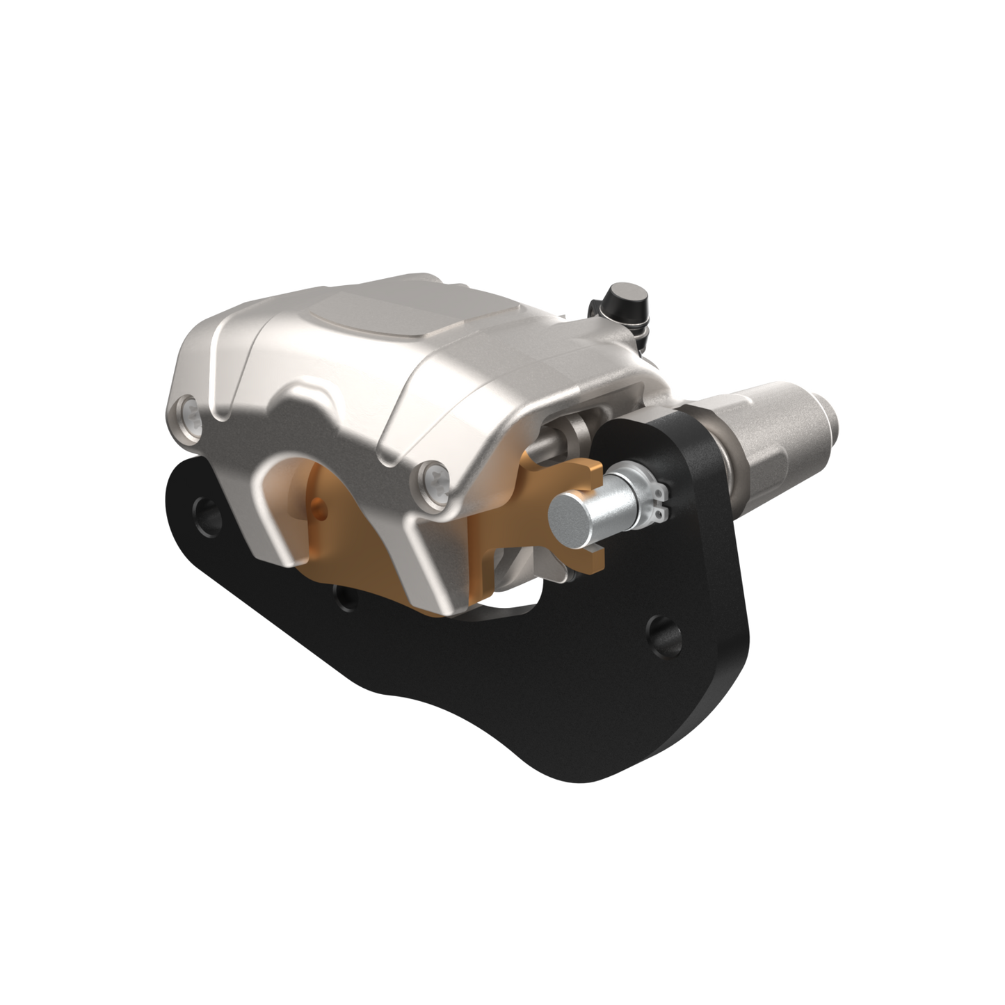 Rear Brake Caliper - Right Side