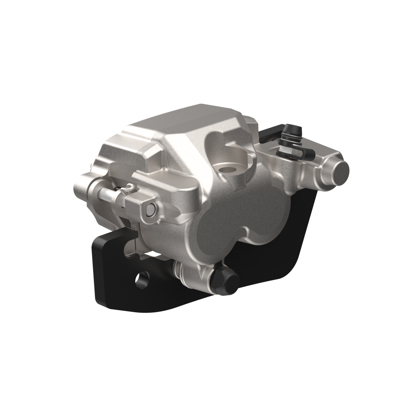 Front Brake Caliper - Left Side