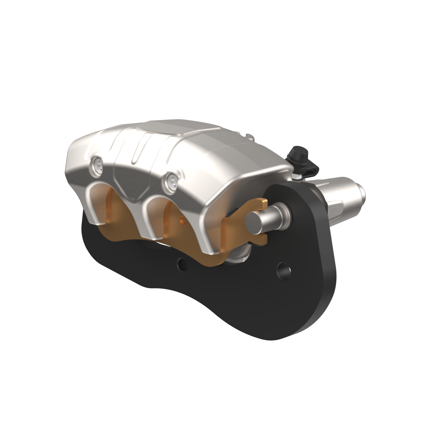 Rear Brake Caliper - Right Side