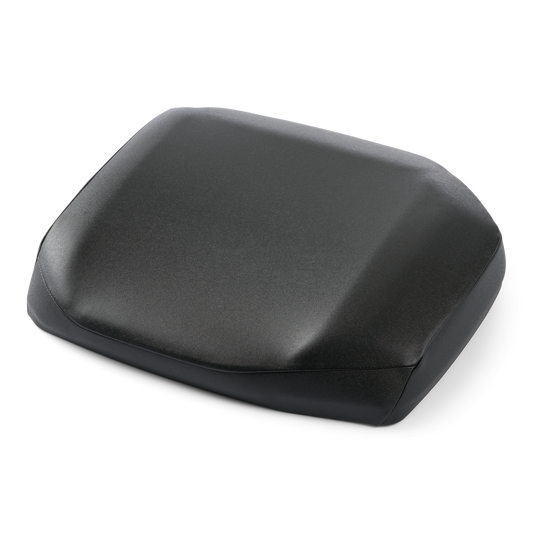 RH Cushion Ass'y
