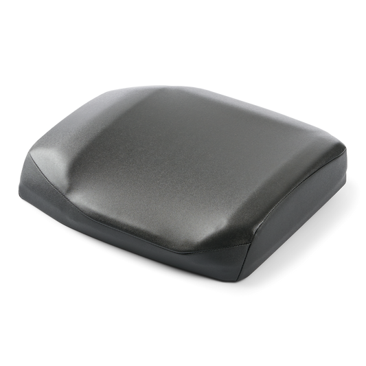 LH Cushion Ass'y