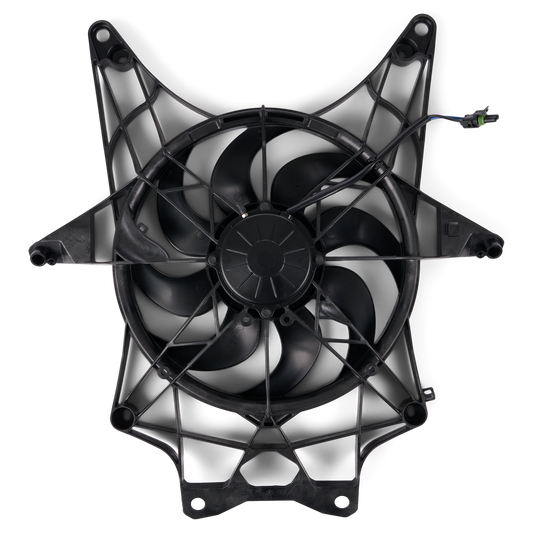 Fan